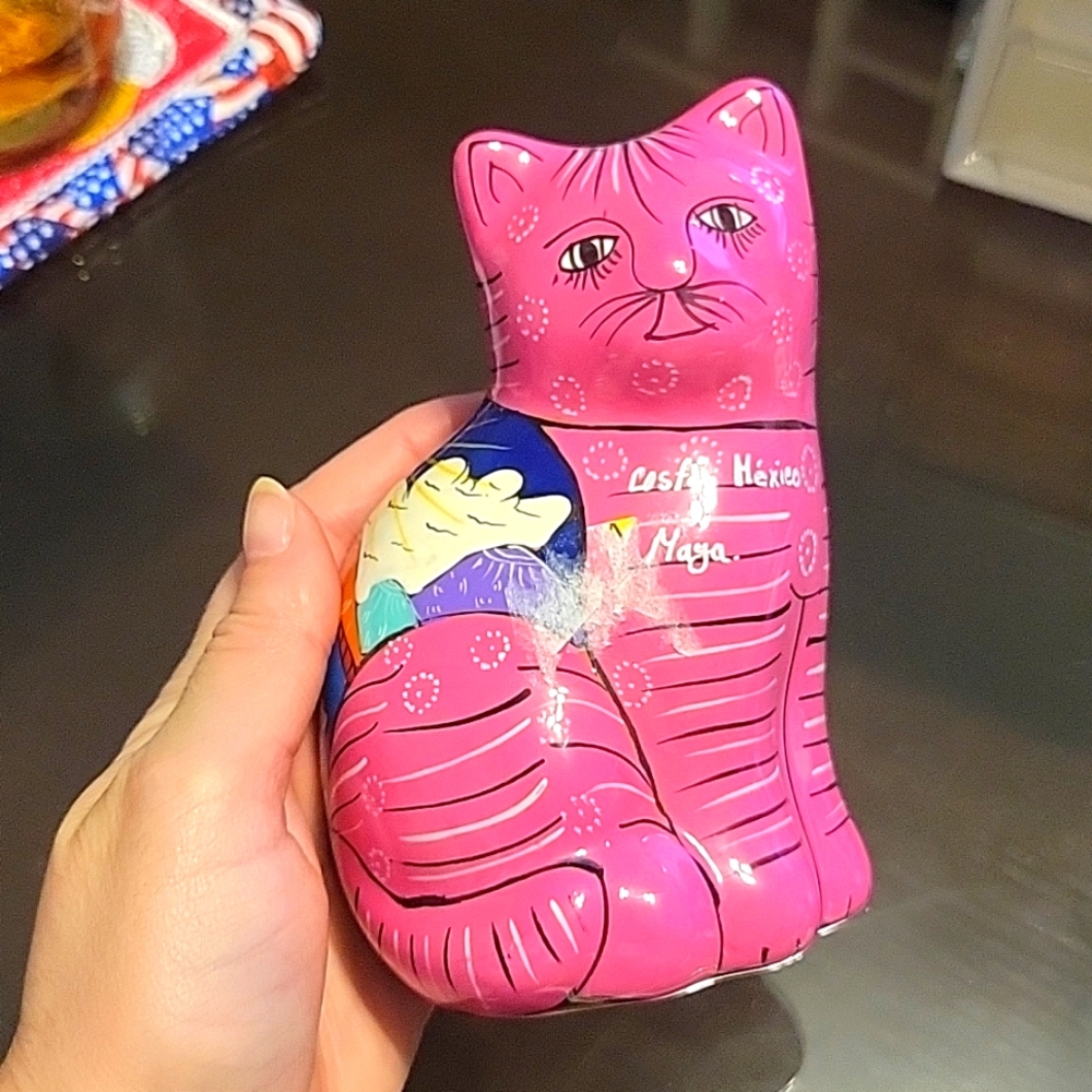Costa Mexico cat